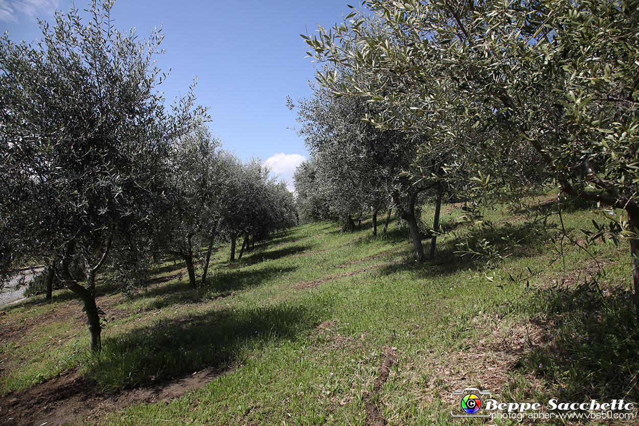 VBS_7281 - PressTour educational dedicato ai vini del Pinerolese e all’olio prodotto sulla collina di Pinerolo.jpg